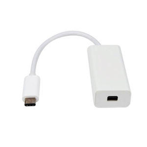 USB C to Mini DisplayPort Adapter