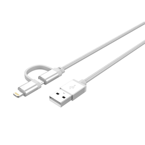 2 in 1 Cable USB A to USB C/Lightning